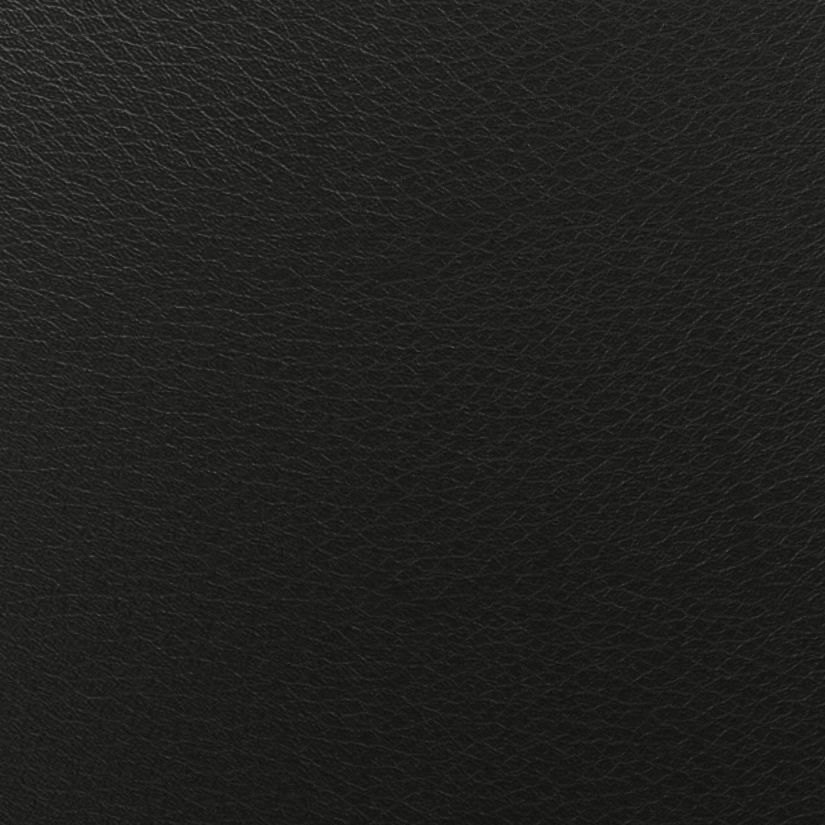 Leder Sahara Ebony in Schwarz, Nahaufnahme der Oberfläche