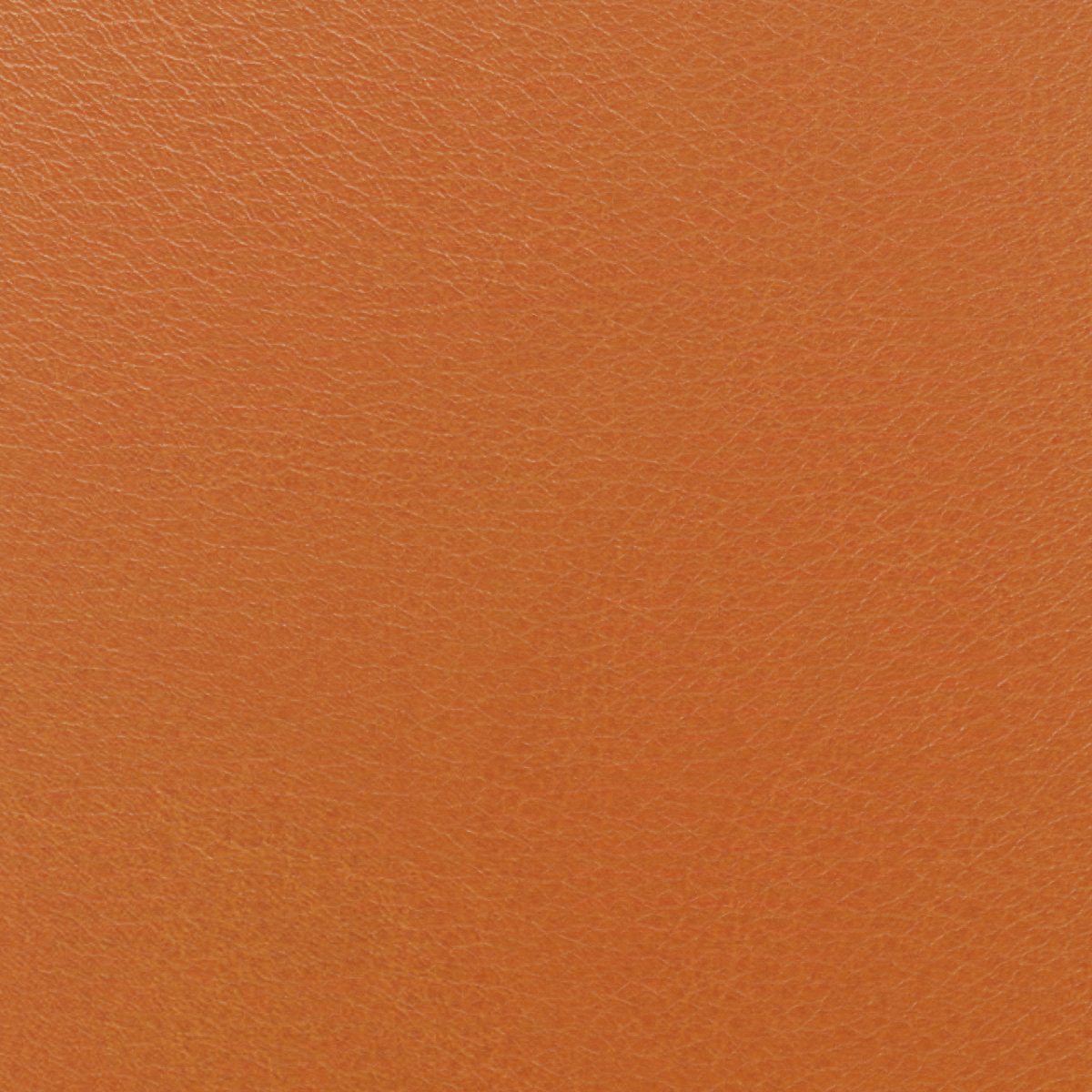 Leder Sahara Safran in Orangebraun, Nahaufnahme der Oberfläche