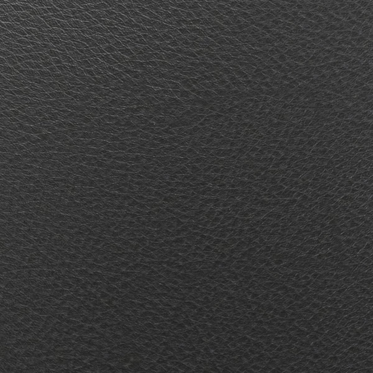Leder Orient Ebony in Schwarz, Nahaufnahme der Oberfläche