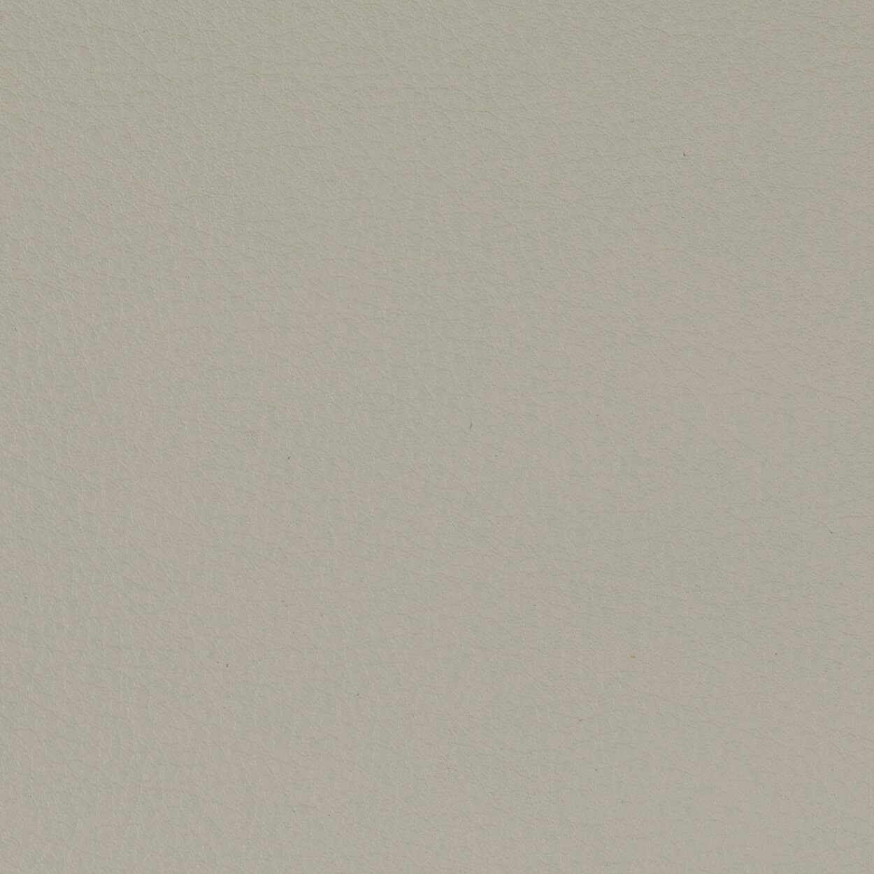 Leder Sahara Ivory in Hellgrau-Beige, Nahaufnahme der Oberfläche