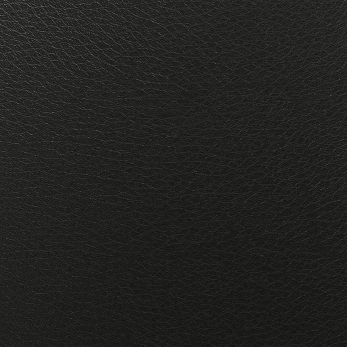 Leder Sahara Ebony in Schwarz, Nahaufnahme der Oberfläche