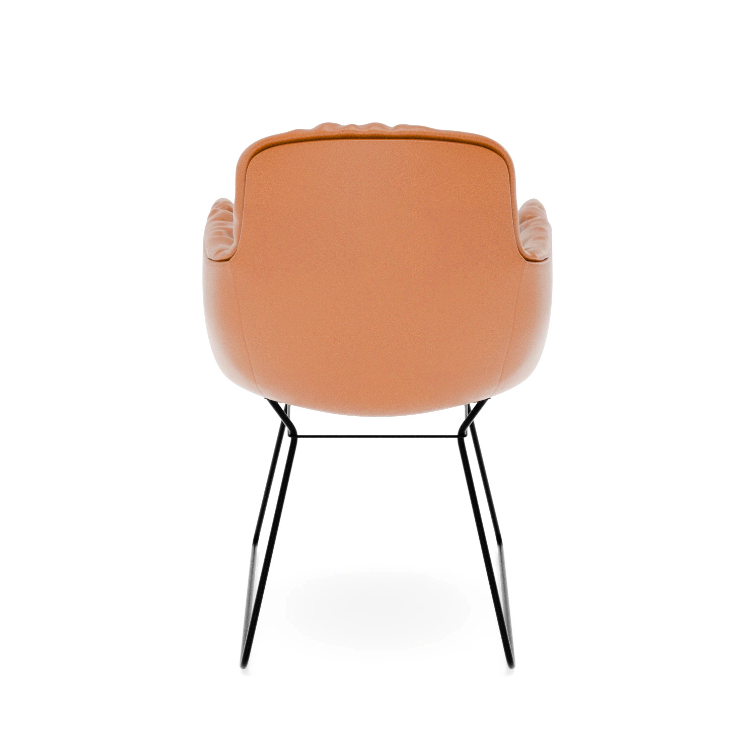 Leya Armchair High in cognacfarbenem Leder Sensia mit schwarzem Drahtgestell, Rückansicht