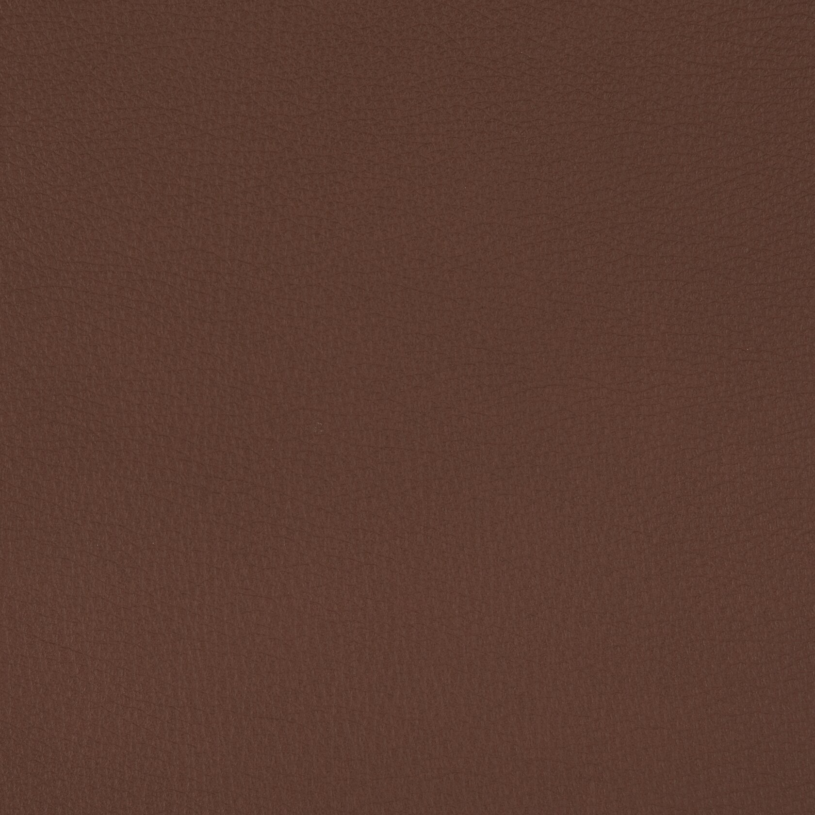 Leder Sahara Cognac