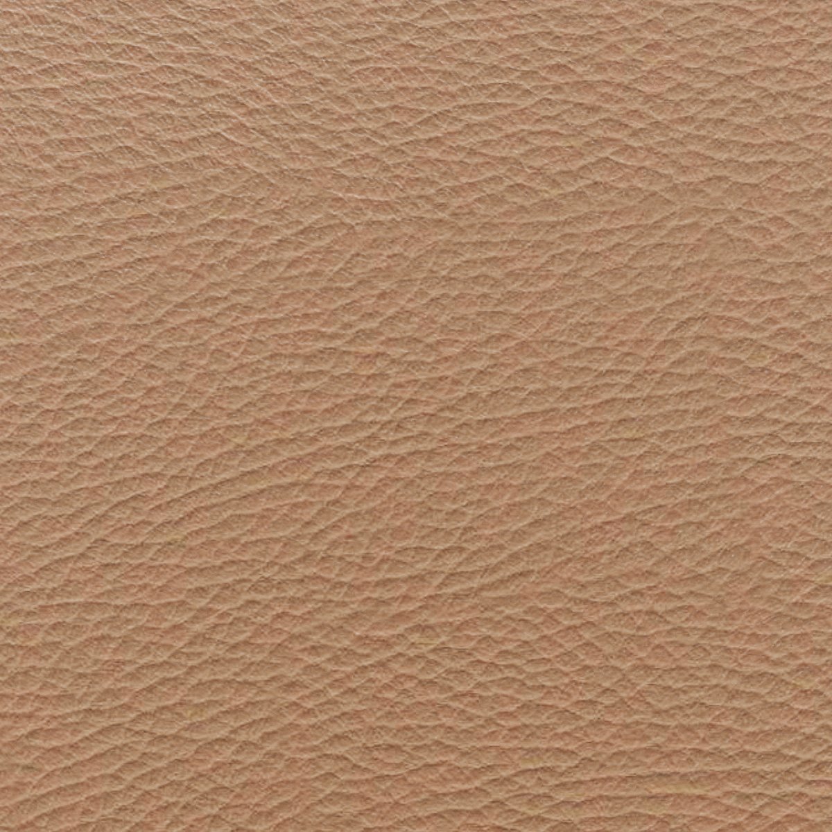 Leder Orient Caramel in Hellbraun, Nahaufnahme der Oberfläche