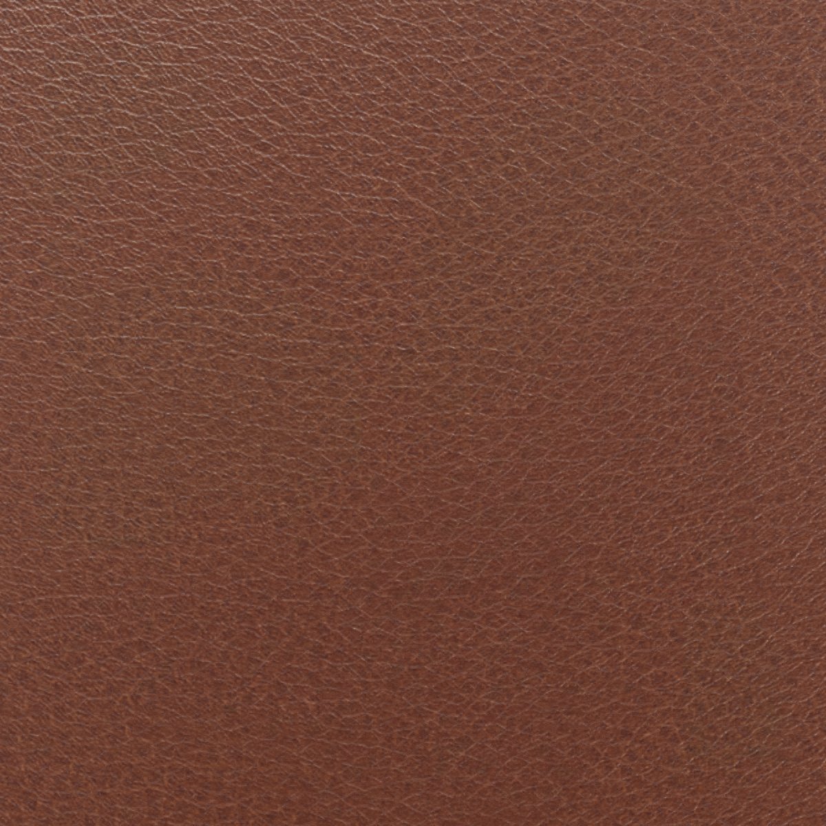 Leder Sahara Cognac in Rotbraun, Nahaufnahme der Oberfläche