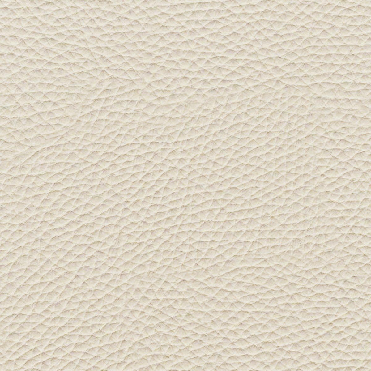 Leder Orient Jasmin in Creme, Nahaufnahme der Oberfläche