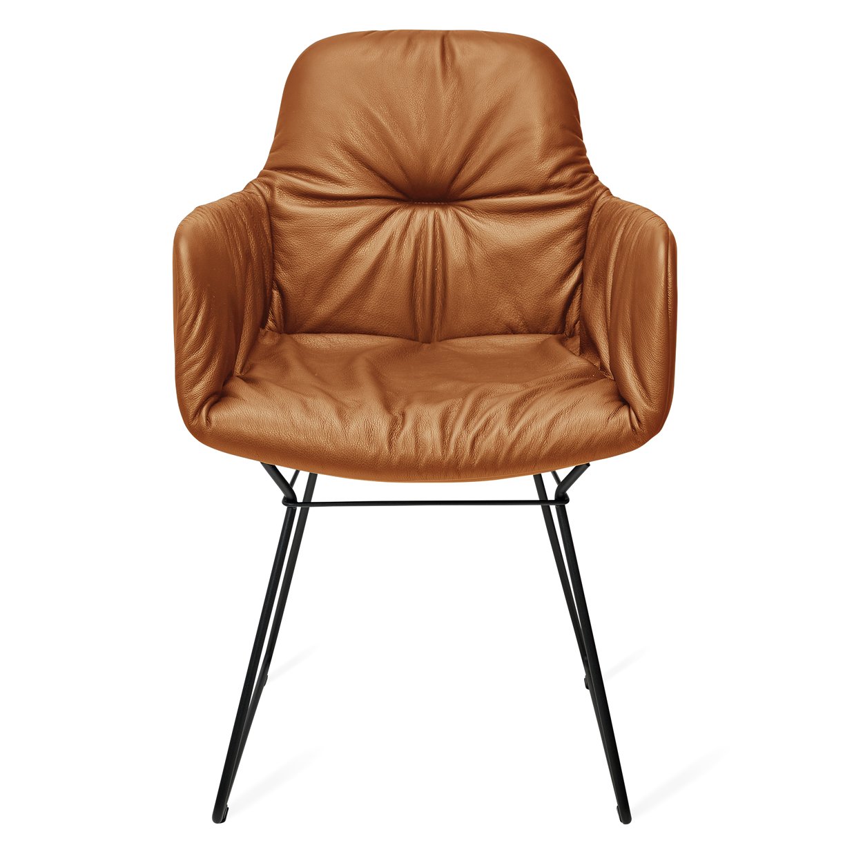 Leya Armchair High in cognacfarbenem Leder Sahara mit schwarzem Drahtgestell, Frontansicht