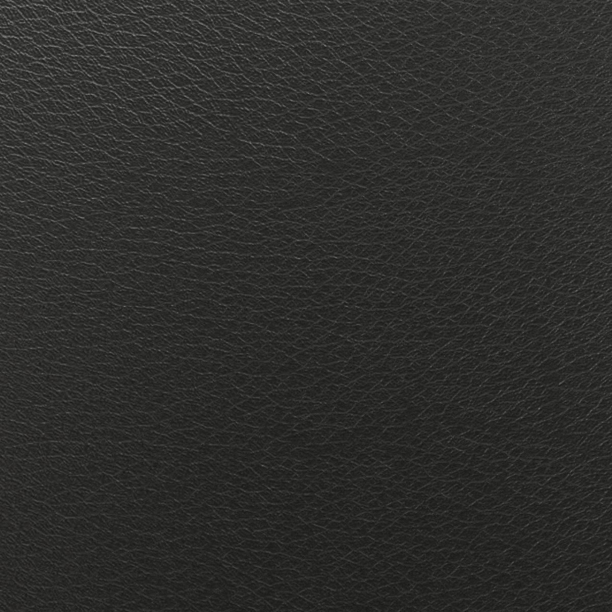 Leder Sahara Ebony in Schwarz, Nahaufnahme der Oberfläche