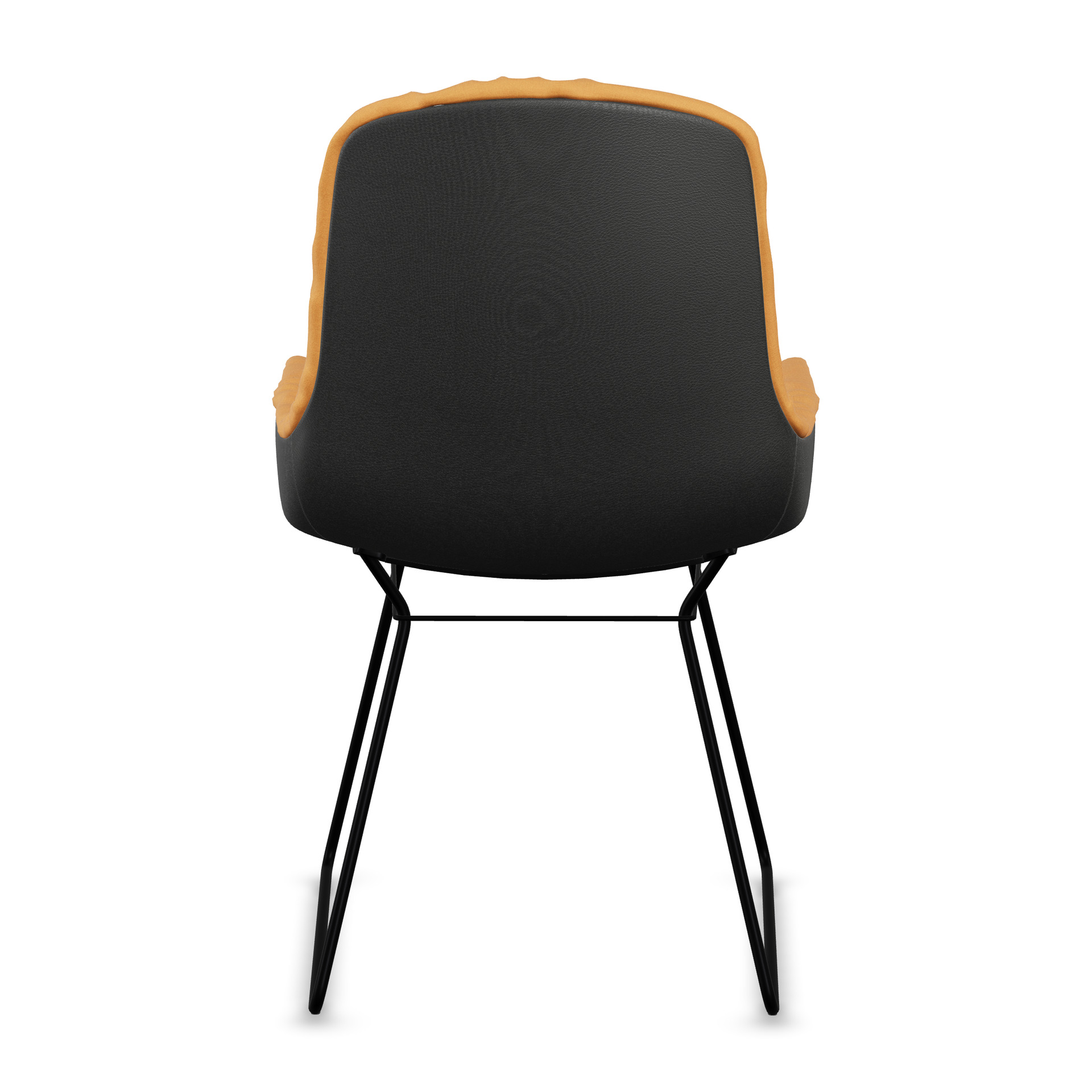 Leya Armchair Low mit Rückseite in schwarzem Leder Sahara Ebony, schwarzes Drahtgestell, Rückansicht