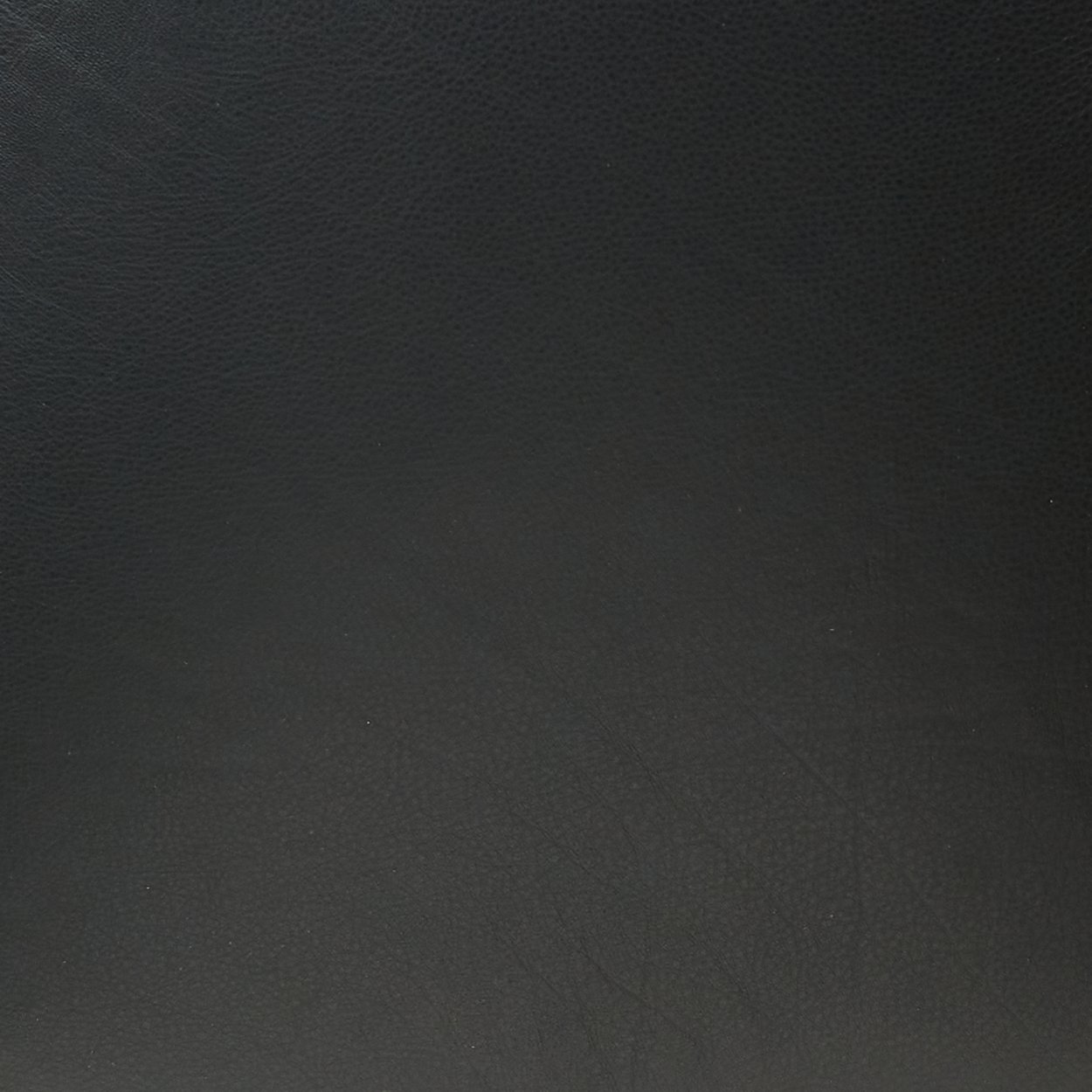 Leder Sahara Ebony in Schwarz, Nahaufnahme der Oberfläche am Leya Armchair High