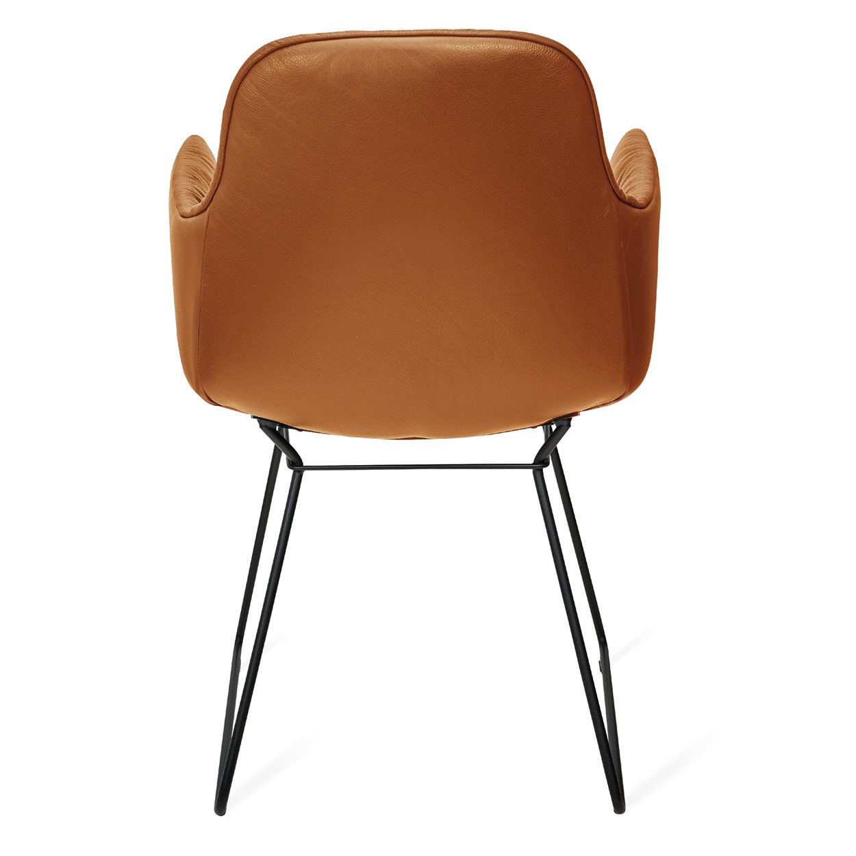 Leya Armchair High in cognacfarbenem Leder Sahara mit schwarzem Drahtgestell, Rückansicht
